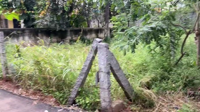 Thick vegetation covering site