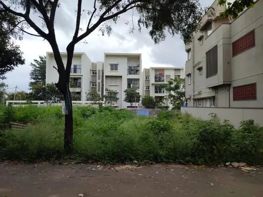 Uncontrolled vegetation growth